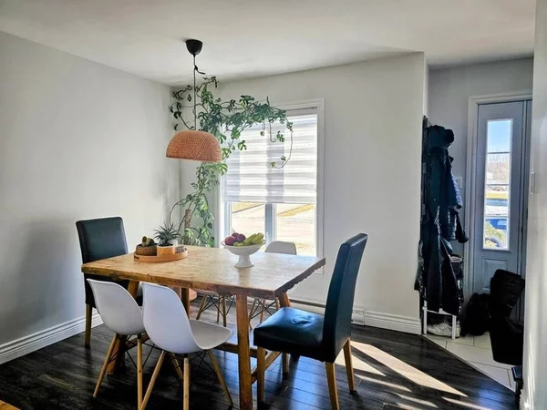 1 bedroom apartment for rent in Mahncke Park - Central SATX, San Antonio