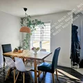 1 bedroom apartment for rent in Mahncke Park - Central SATX, San Antonio