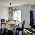 1 bedroom apartment for rent in Mahncke Park - Central SATX, San Antonio