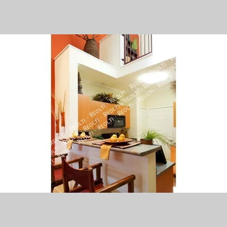 1 bedroom apartment for rent in Downtown Dallas - Ne Dallas, Dallas