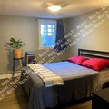 1 bedroom apartment for rent in North Central - North SATX, San Antonio