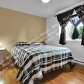 1 bedroom apartment for rent in Alamo Heights - Central SATX, San Antonio
