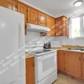 1 bedroom apartment for rent in Alamo Heights - Central SATX, San Antonio