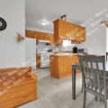 1 bedroom apartment for rent in Alamo Heights - Central SATX, San Antonio