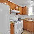 1 bedroom apartment for rent in Alamo Heights - Central SATX, San Antonio