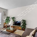 1 bedroom apartment for rent in Alamo Heights - Central SATX, San Antonio