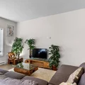 1 bedroom apartment for rent in Alamo Heights - Central SATX, San Antonio