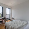 Coliving in Crown Heights - Brooklyn, New York