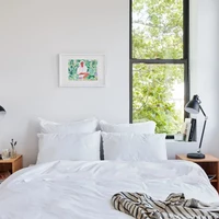 Coliving in Bedford Stuyvesant - Brooklyn, New York
