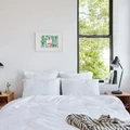 Coliving in Bedford Stuyvesant - Brooklyn, New York