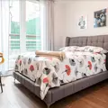 Coliving in Williamsburg - Brooklyn, New York