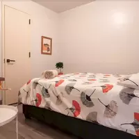Coliving in Williamsburg - Brooklyn, New York