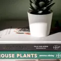 Coliving in Bedford Stuyvesant - Brooklyn, New York