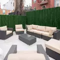 Coliving in Bushwick - Brooklyn, New York