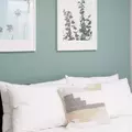 Coliving in Williamsburg - Brooklyn, New York