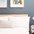 Coliving in Williamsburg - Brooklyn, New York
