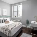 Coliving in Bedford Stuyvesant - Brooklyn, New York