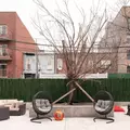 Coliving in Bushwick - Brooklyn, New York