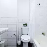 Coliving in Harlem - Manhattan, New York