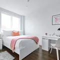Coliving in Ridgewood - Queens, New York
