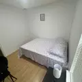 Coliving in Northeast Side - North SATX, San Antonio