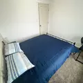 Coliving in Northeast Side - North SATX, San Antonio