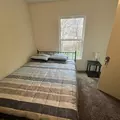Coliving in Northeast Side - North SATX, San Antonio