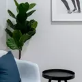 Coliving in Bushwick - Brooklyn, New York