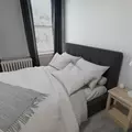 Coliving in Mount Pleasant - NW DC, Washington DC