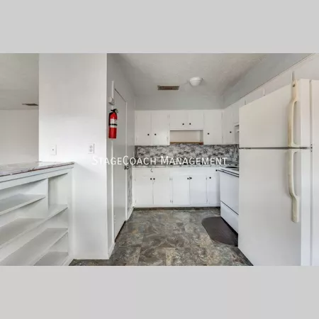 2 bedrooms apartment for rent in Midtown Houston - Inner Loop, Houston