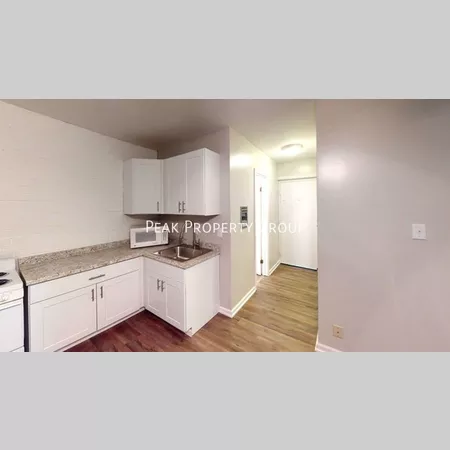 Studio Apartment for rent in North Campus - North Columbus, Columbus