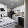 2 bedrooms apartment for rent in North Lamar - North Austin, Austin