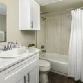 2 bedrooms apartment for rent in North Lamar - North Austin, Austin