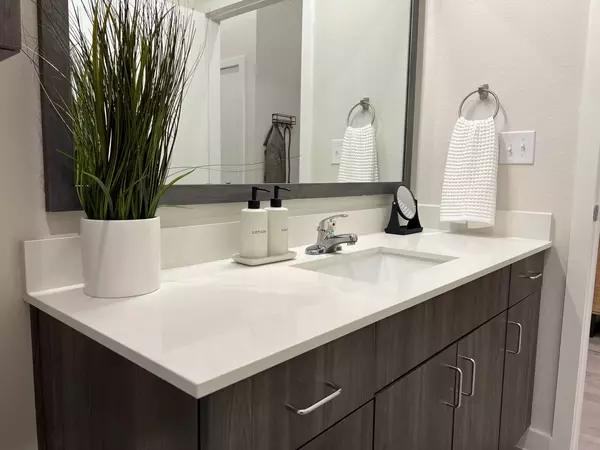 1 bedroom apartment for rent in North Loop - North Central Austin, Austin