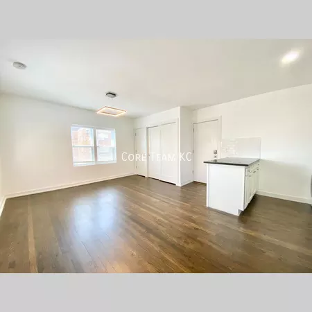 1 bedroom apartment for rent in Midtown-Westport - KCMO, Kansas City