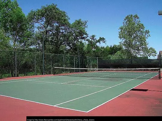 1 bedroom apartment for rent in East Riverside Oltorf - South Central Austin, Austin