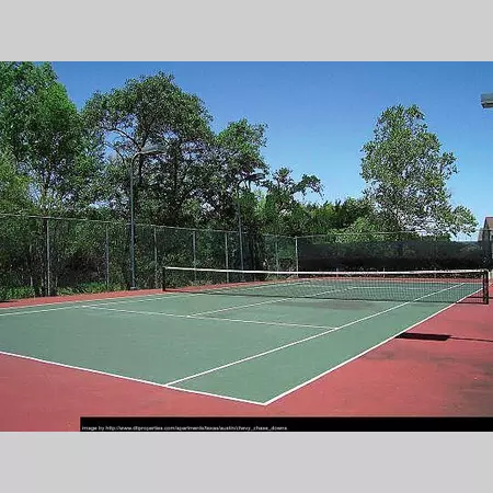 1 bedroom apartment for rent in East Riverside Oltorf - South Central Austin, Austin