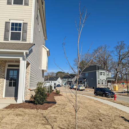 Coliving in Apex - Outer Triangle, Raleigh