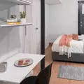 Coliving in Williamsburg - Brooklyn, New York