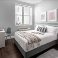 Coliving in Bedford Stuyvesant - Brooklyn, New York