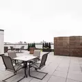 Coliving in Bedford Stuyvesant - Brooklyn, New York