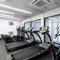 Coliving in Bedford Stuyvesant - Brooklyn, New York