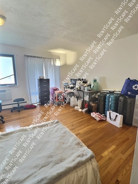 Studio Apartment for rent in Allston - Boston, Boston