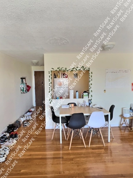 2 bedrooms apartment for rent in Allston - Boston, Boston