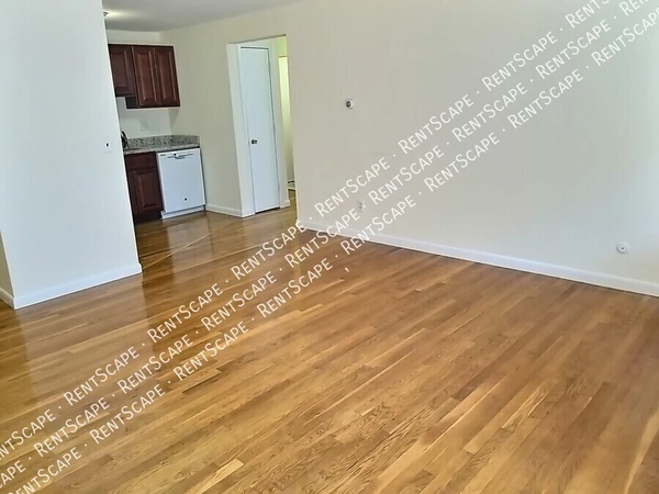 1 bedroom apartment for rent in Allston - Boston, Boston