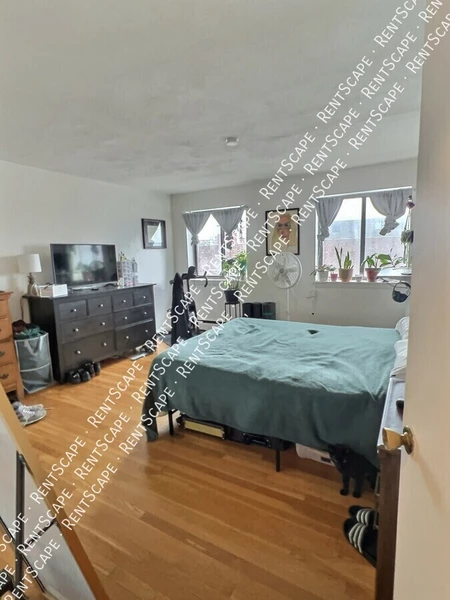 1 bedroom apartment for rent in Allston - Boston, Boston