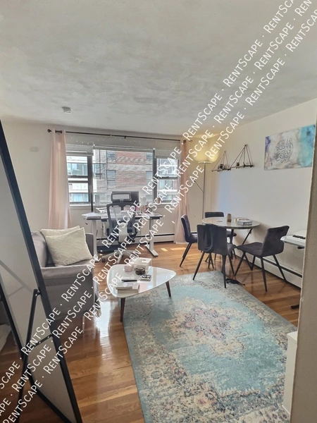 Studio Apartment for rent in Allston - Boston, Boston
