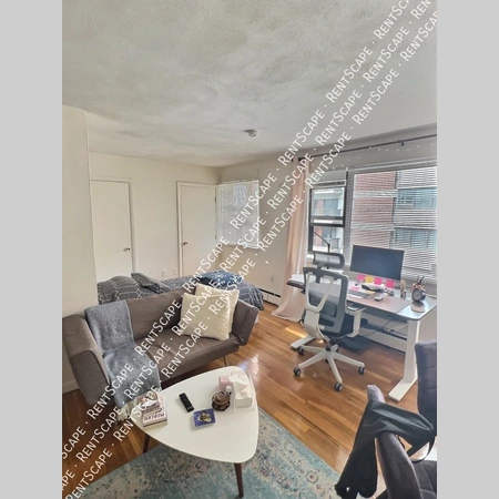 Studio Apartment for rent in Allston - Boston, Boston