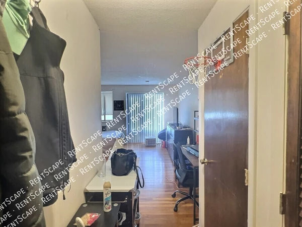 Studio Apartment for rent in Allston - Boston, Boston