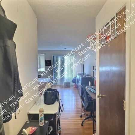 Studio Apartment for rent in Allston - Boston, Boston